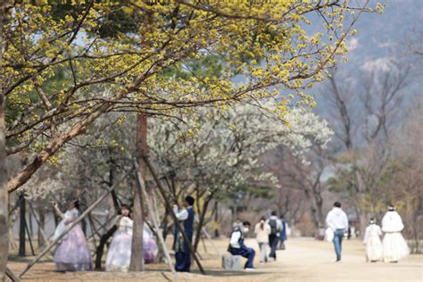 굿모닝 오늘의 날씨 포근한 봄 날씨 계속수도권 등 공기질 나쁨