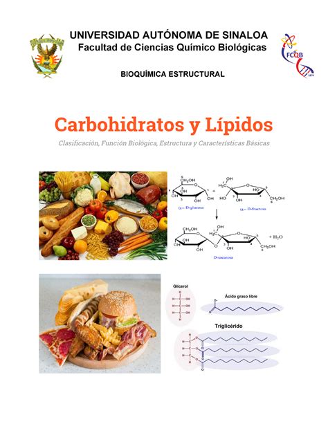 Triptico De Biologiadocx Carbohidratos Lipido Images