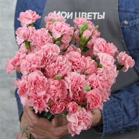Купить Гвоздика светло-розовая кустовая в Москве и Подмосковье