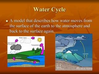 Cycles In Nature Ppt