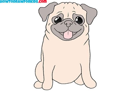 How to Draw a Pug - Easy Drawing Tutorial For Kids