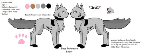 Bear Reference Sheet By Fluffy Bearr On Deviantart