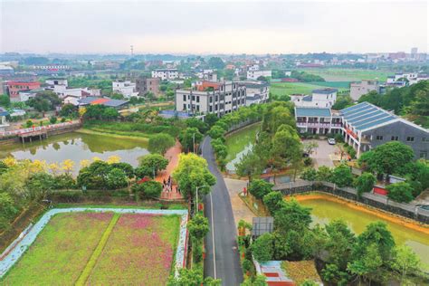 博罗县长宁镇松树岗村：厚植生态“绿”底色 绘就乡村“兴”画卷 惠州文明网