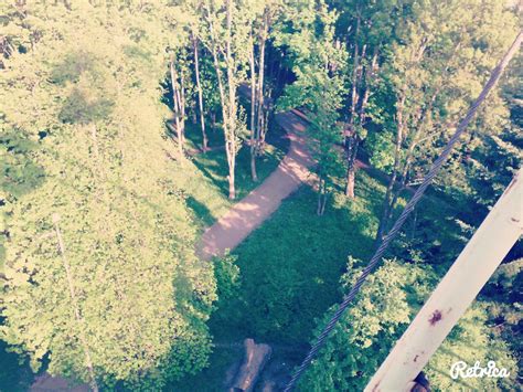 naked cactus on Twitter чортовеколесо рівне Прекрасненько чудовийдень