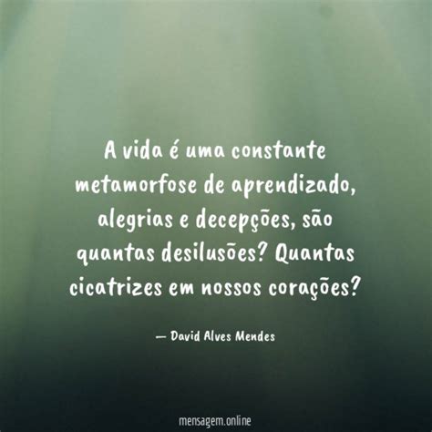 Frases De Metamorfoses Da Vida A Vida Uma Constante Metamorfose De