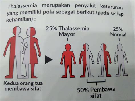 Kenali Talasemia Dan Lakukan Skrining Untuk Mencegahnya