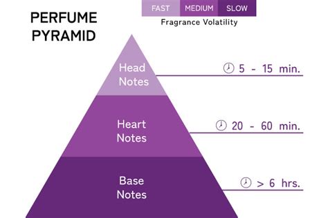 A Complete Guide to Understand the Fragrance Notes