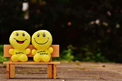 Download Two Stuffed Animals Sitting On A Wooden Bench | Wallpapers.com