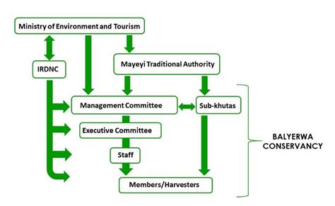 Institutions Related To Natural Resource Governance In Balyerwa