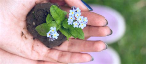 Spring Equinox Ritual For Balance The Witch Of Lupine Hollow