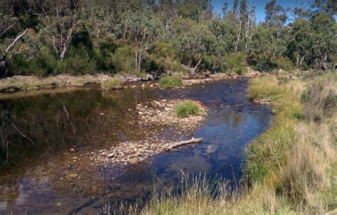 Middle Creek Camping Area