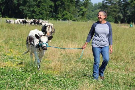 Fun Food At Mid Atlantic Farm Visits Wander With Wonder