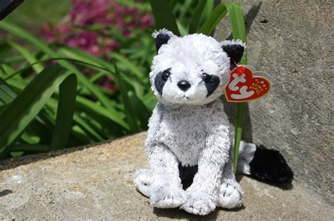 Bandito The Raccoon Ty Beanie Baby — Plushie Paradise