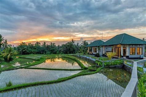 Villa Dengan Pemandangan Sawah Di Bali Yang Sejuk Dan Menyegarkan