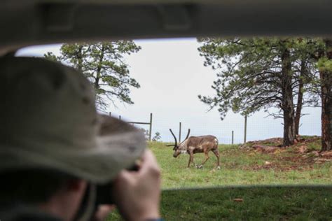 Beyond The Badlands The Ultimate Weekend In Rapid City South Dakota