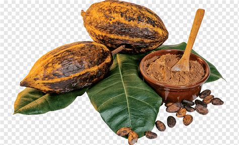 Cocoa Bean Cacao Tree Cocoa Solids Chocolate Organic Food Chocolate