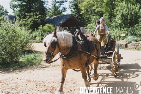 Guedelon La Construction D Un Chateau Fort Par Marif DERUFFI