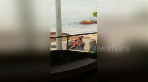 Newsflare Edit Tourists Face Jail After Having Sex On Beach At Am Part Buy Sell Or