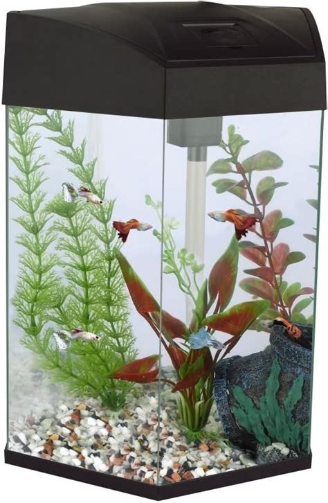 Fish R Fun Aquarium Hexagonal Noir 33 X 30 X 43 Cm Amazonfr Animalerie