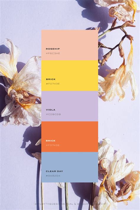 Five Vibrant And Bright Colour Palettes For Your Brand Or Squarespace Website Color Palette