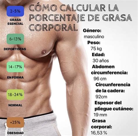 Torbellino Viaje Generosidad Calcular Grasa Acoplador Arrastrarse Lamentar