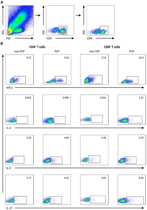 Representative Flow Cytometry Data Gating Strategy And Frequencies Of