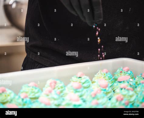 Tema De La Comida De La Fiesta Del Mar Fotograf As E Im Genes De Alta