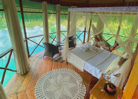 Hot Is Na Floresta Amaz Nica Para Uma Experi Ncia Memor Vel