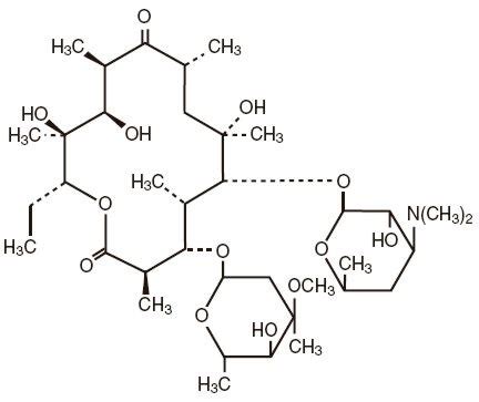 About Erythromycin - Belinked & Co. Belinda liu