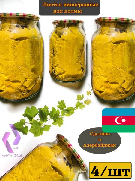 Виноградные листья для долмы (сухой) 4 шт купить на OZON по низкой цене ...