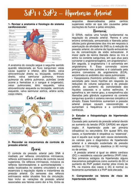 S P S P Hipertens O Aerterial Revisar A Anatomia E