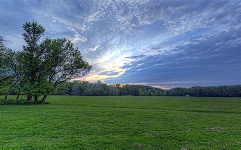 Wallpaper Sunlight Trees Landscape Hill Nature Grass Sky Field