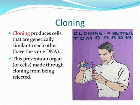 Ppt Human Cloning Powerpoint Presentation Free Download Id 2400108