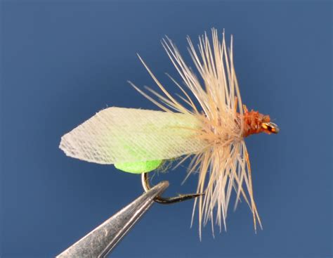 Sns Apple Caddis Dette Flies