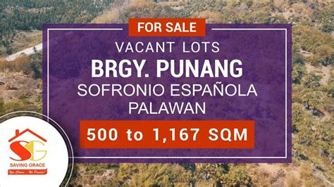 For Sale Vacant Lots Brgy Punang Sofronio Española Palawan 500