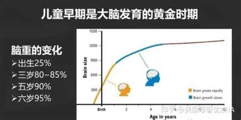 婴幼儿大脑发育的高峰期是什么时候？ 知乎