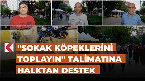 Sokak köpeklerini toplayın talimatına halktan destek YouTube