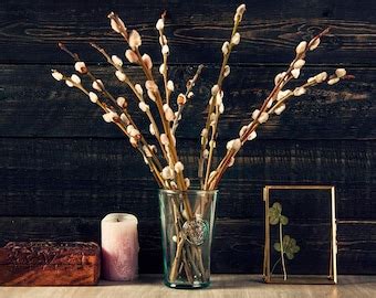 Pussy Willow Etsy