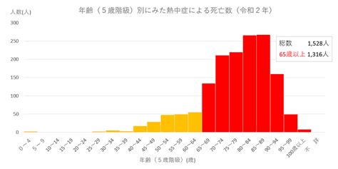 高齢者のための熱中症対策