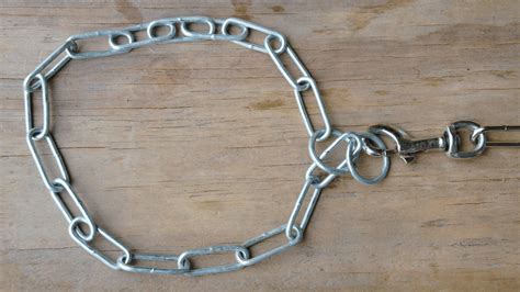 Correct Way To Put A Choke Chain Collar On A Dog at Jane Shepherd blog