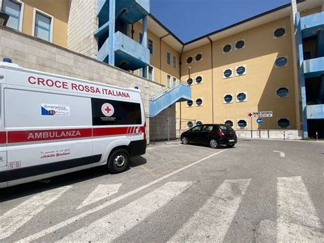 Cade Mentre Raccoglie Ciliegie E Muore Tragedia In Irpinia