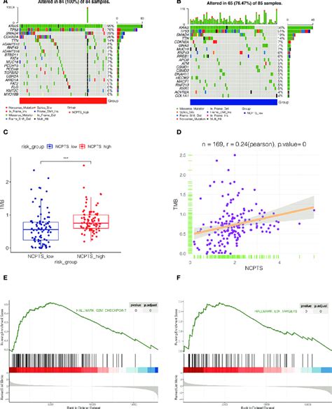 Mutation Landscape Analysis A The Mutation Landscape Of Ncpts High