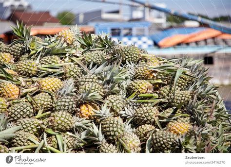 Ananas Wassermelonen Und Andere Tropische Früchte An Einem Obststand