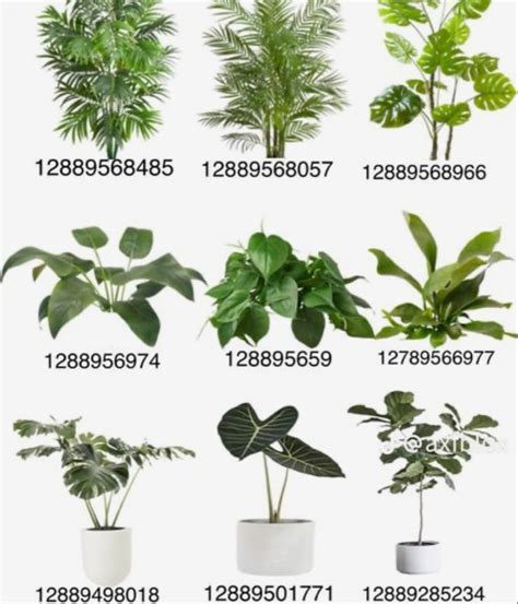 various types of plants in pots and numbers on the bottom right hand ...