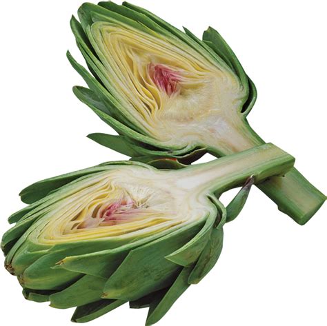 Download Fresh Halved Artichoke Transparent Background