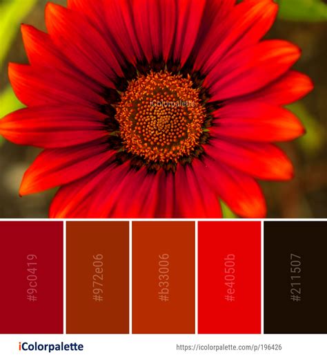 Color Palette Ideas From 9097 Flower Images Icolorpalette Color Palette Color Palette