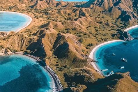 Nikmati Keindahan Bawah Laut Pulau Padar Dengan Snorkeling Jurnal Flores