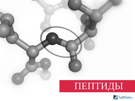 Пептиды: виды и механизм действия - БАДы