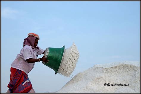 Marakkanam Salt Pans Flickr