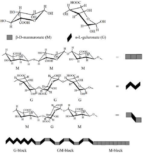 Structure Of Alginic Acid 35 Download Scientific Diagram